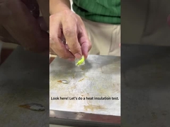 포러스 진공 실리콘